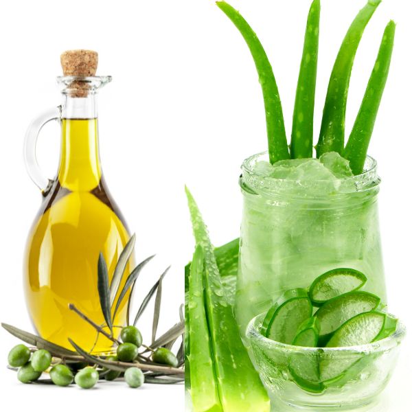 panmath olive oil and aloe vera hair mask